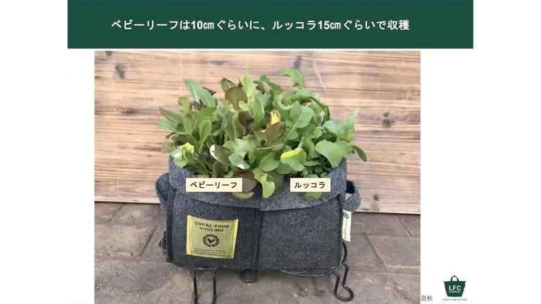 オンラインファンミーティング