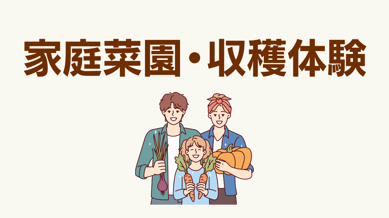/assets/images/common/image-saien