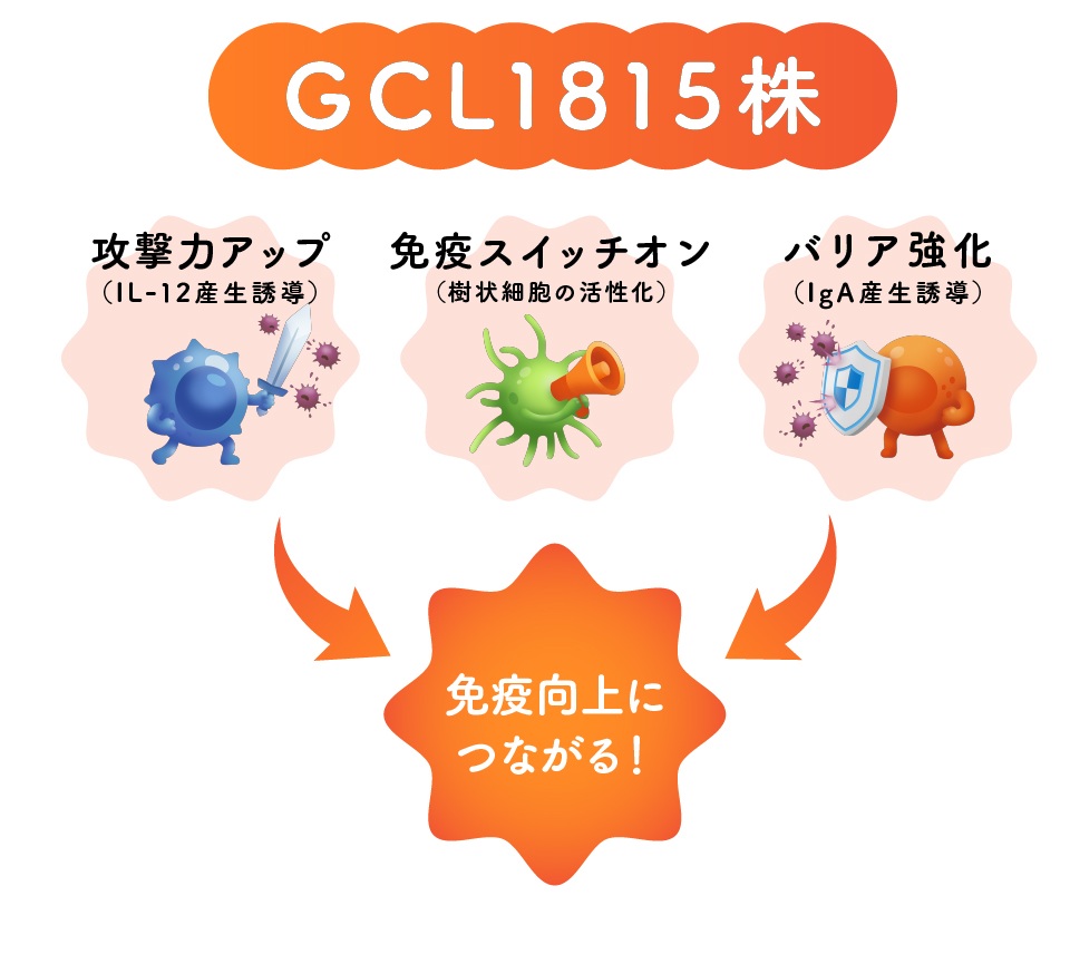 GCL1815株の効果1