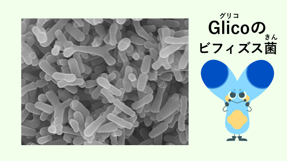 glico-bifi-renewed