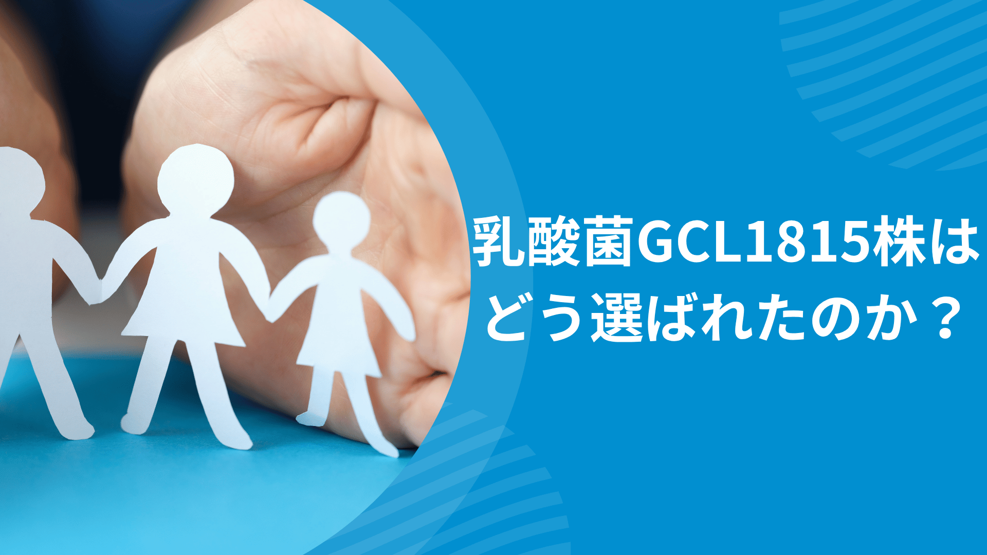 乳酸菌GCL1815株はどう選ばれたのか？