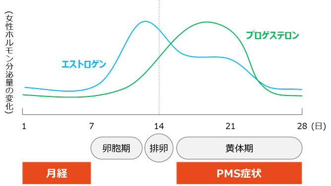 menstruation_graph (4571)