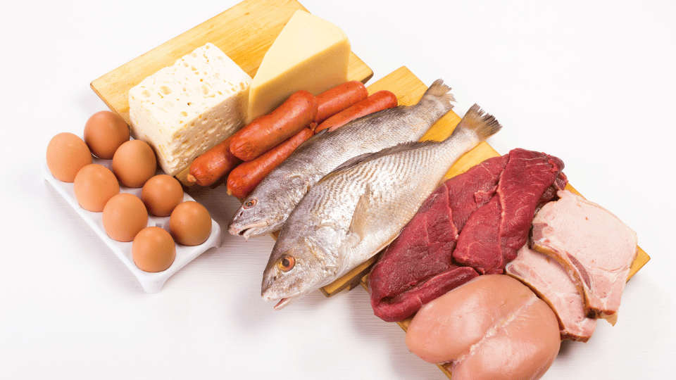protein-types-whey-casein-soy-food