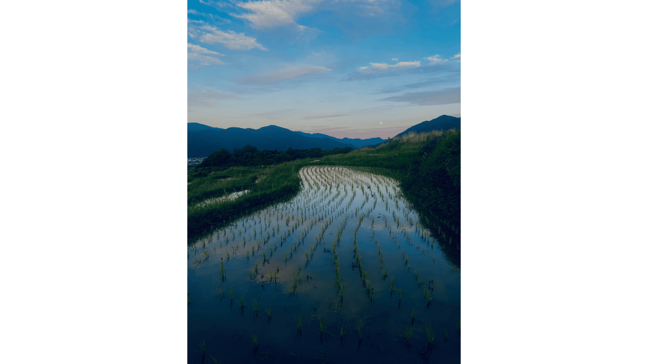 scenery-obasute