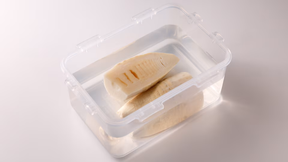 vegetable_storage_bamboo_shoots (3629)