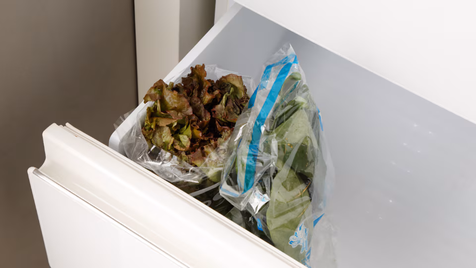 vegetable_storage_lettuce (3632)