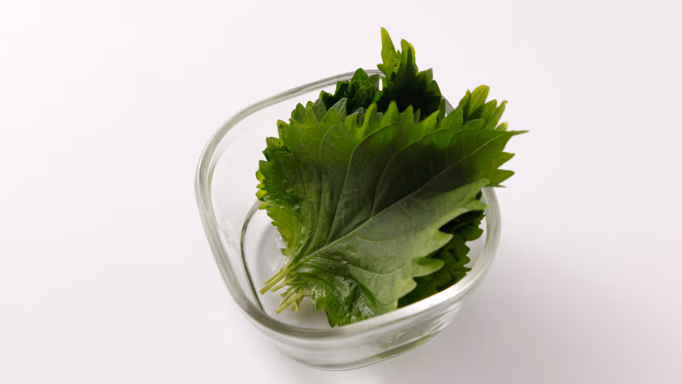 vegetable_storage_perilla (3635)